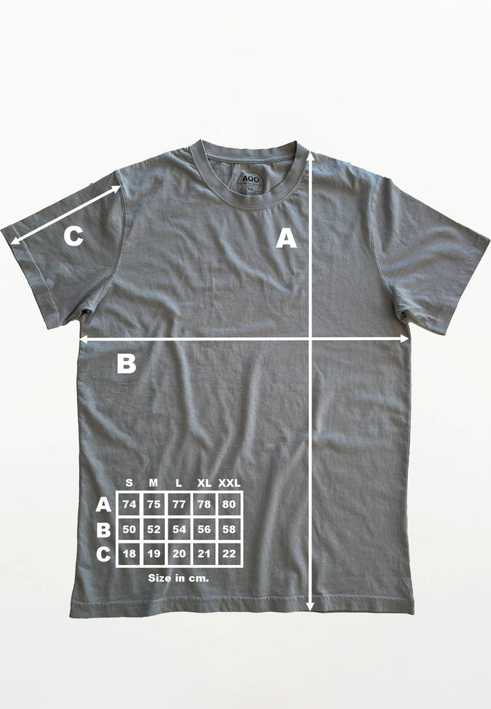 AQO (A QUESTION OF) by LEGENDS Anders Tee Garment Dyed Tee Grey