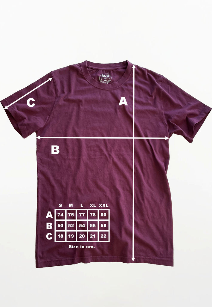 AQO (A QUESTION OF) by LEGENDS Anders Tee Garment Dyed Tee Plum