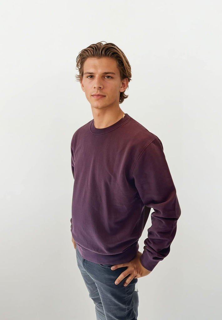 AQO (A QUESTION OF) by LEGENDS Johannes Crewneck Garment Dyed Sweat Plum