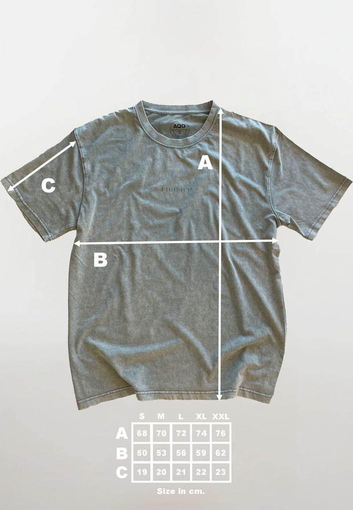 AQO (A QUESTION OF) by LEGENDS Ozzy Tee Acid Wash Tee Dusty Blue