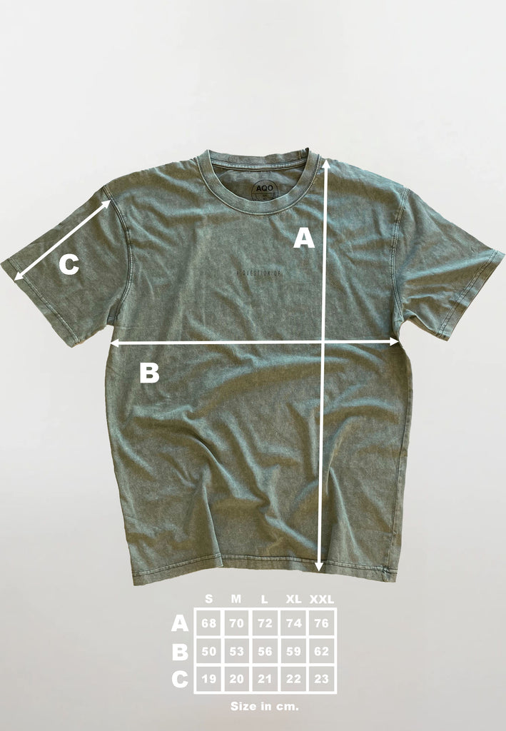 AQO (A QUESTION OF) by LEGENDS Ozzy Tee Acid Wash Tee Dusty Green