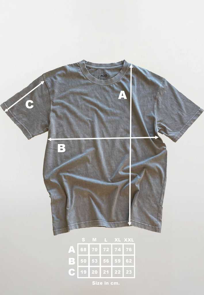AQO (A QUESTION OF) by LEGENDS Ozzy Tee Acid Wash Tee Grey