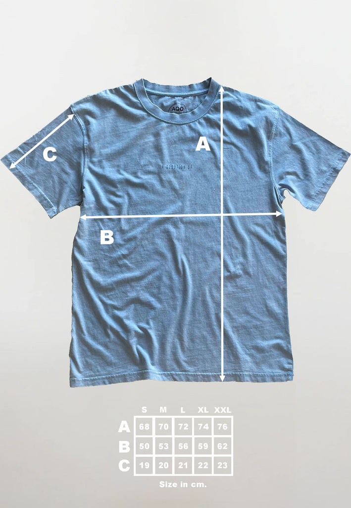 AQO (A QUESTION OF) by LEGENDS Ozzy Tee Acid Wash Tee Light Blue